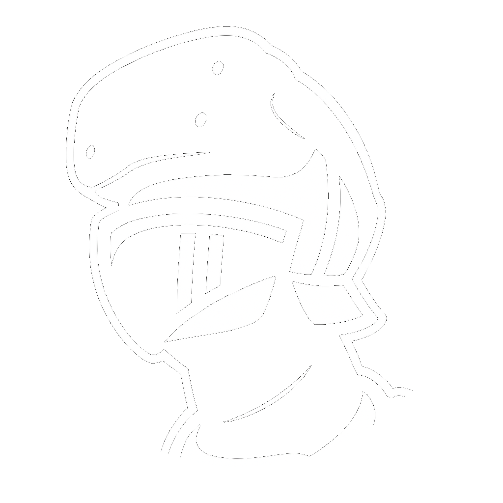 VR Knight